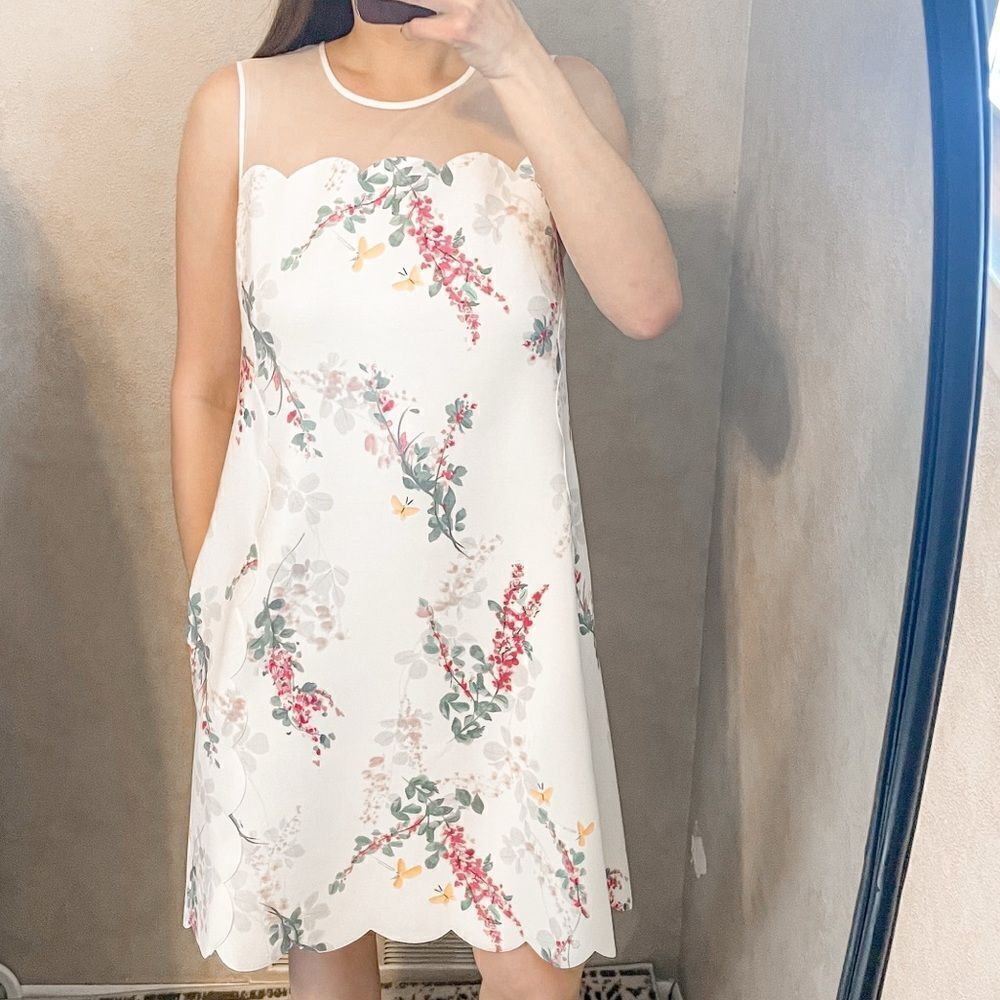 Ted Baker Cainey Sleeveless Shift Dress Sorbet Floral